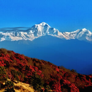 ghorepani-trek